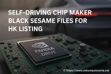 Black sesame dépose son dossier pour une introduction en bourse à hong kong